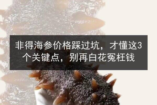 非得海参价格踩过坑，才懂这3个关键点，别再白花冤枉钱