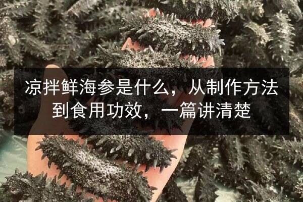 凉拌鲜海参是什么,从制作方法到食用功效,一篇讲清楚