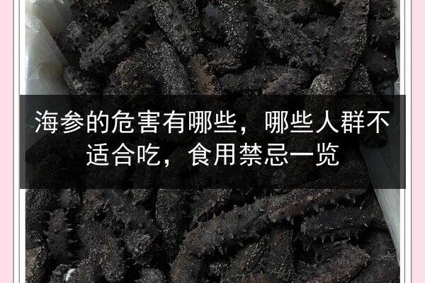 海参的危害有哪些,哪些人群不适合吃,食用禁忌一览