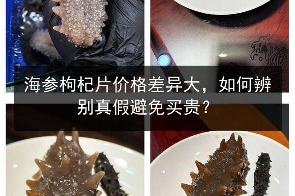海参枸杞片价格差异大,如何辨别真假避免买贵?