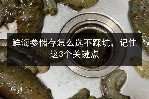 鲜海参储存怎么选不踩坑,记住这3个关键点