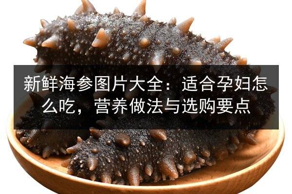 新鲜海参图片大全：适合孕妇怎么吃，营养做法与选购要点