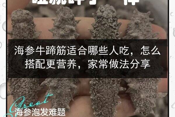 海参牛蹄筋适合哪些人吃,怎么搭配更营养,家常做法分享