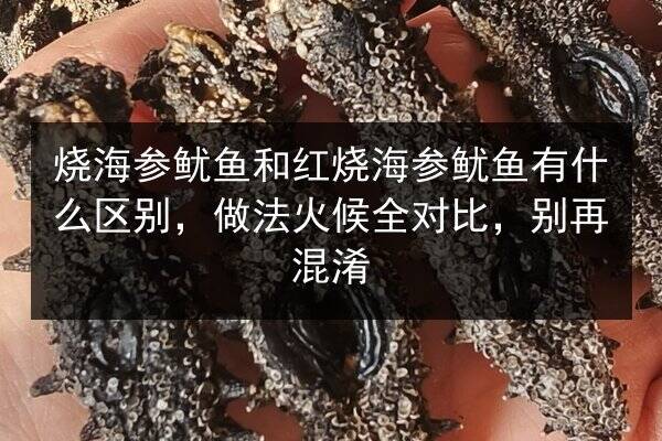 烧海参鱿鱼和红烧海参鱿鱼有什么区别,做法火候全对比,别再混淆