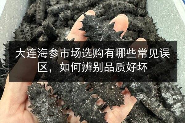 大连海参市场选购有哪些常见误区,如何辨别品质好坏