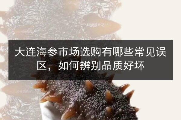 大连海参市场选购有哪些常见误区,如何辨别品质好坏