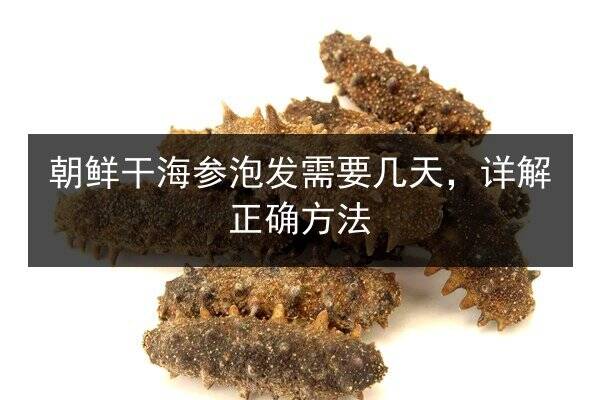 朝鲜干海参泡发需要几天，详解正确方法