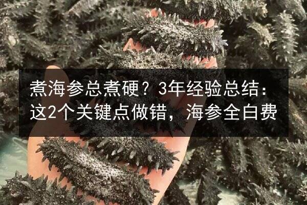 煮海参总煮硬?3年经验总结:这2个关键点做错,海参全白费