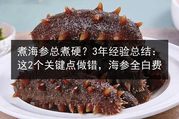 煮海参总煮硬?3年经验总结:这2个关键点做错,海参全白费