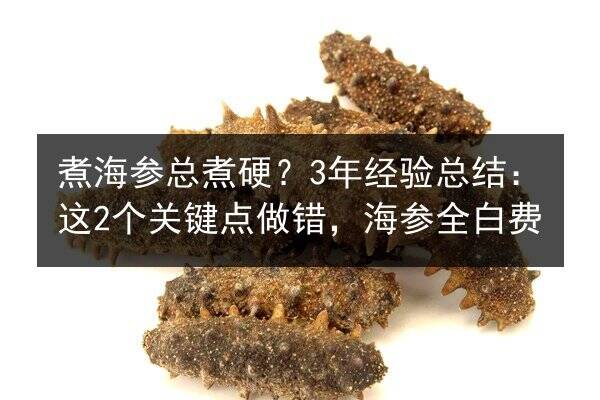 煮海参总煮硬?3年经验总结:这2个关键点做错,海参全白费