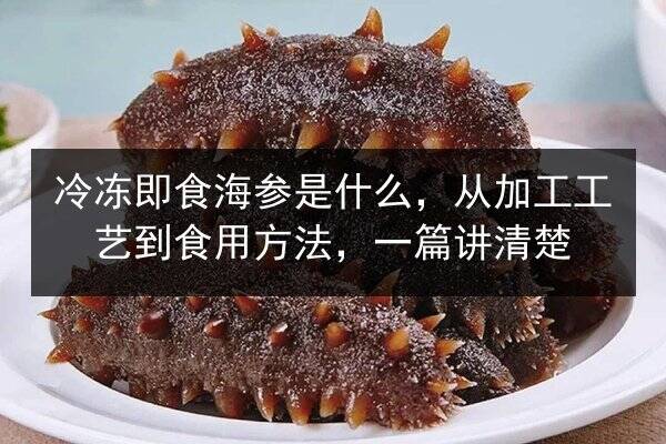 冷冻即食海参是什么,从加工工艺到食用方法,一篇讲清楚