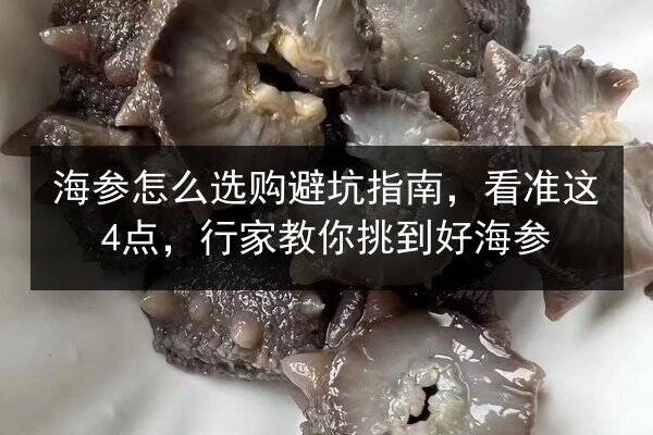 海参怎么选购避坑指南,看准这4点,行家教你挑到好海参