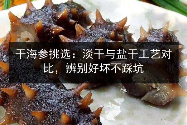干海参挑选:淡干与盐干工艺对比,辨别好坏不踩坑