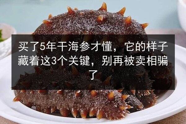 买了5年干海参才懂，它的样子藏着这3个关键，别再被卖相骗了