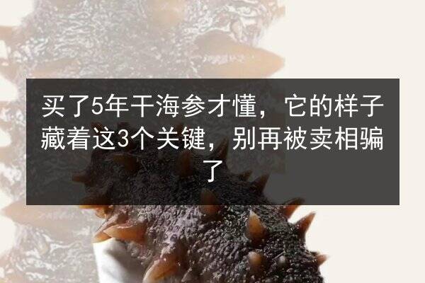 买了5年干海参才懂，它的样子藏着这3个关键，别再被卖相骗了
