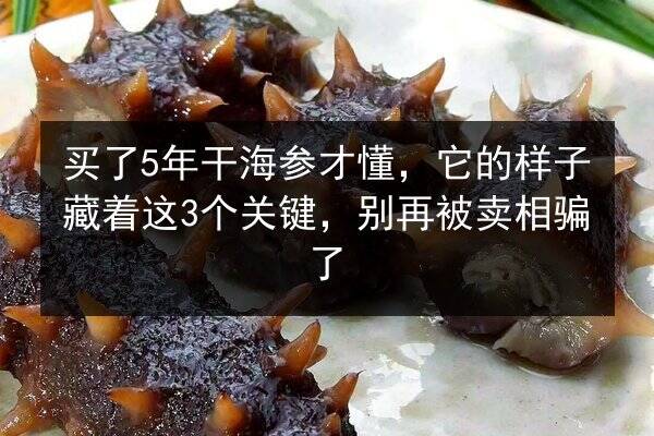 买了5年干海参才懂，它的样子藏着这3个关键，别再被卖相骗了