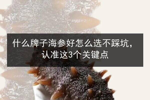什么牌子海参好怎么选不踩坑,认准这3个关键点