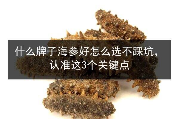 什么牌子海参好怎么选不踩坑,认准这3个关键点