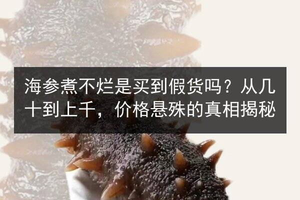 海参煮不烂是买到假货吗？从几十到上千，价格悬殊的真相揭秘