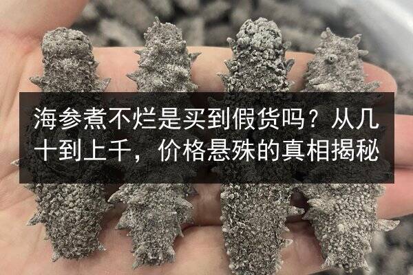 海参煮不烂是买到假货吗？从几十到上千，价格悬殊的真相揭秘