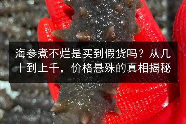 海参煮不烂是买到假货吗？从几十到上千，价格悬殊的真相揭秘
