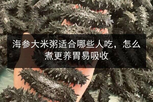 海参大米粥适合哪些人吃，怎么煮更养胃易吸收