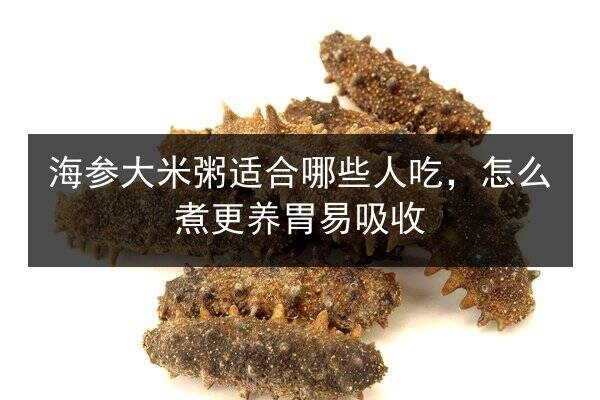 海参大米粥适合哪些人吃，怎么煮更养胃易吸收