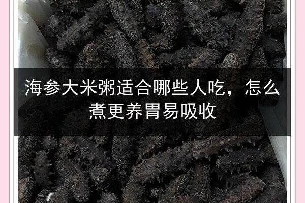 海参大米粥适合哪些人吃，怎么煮更养胃易吸收