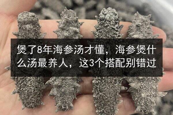 煲了8年海参汤才懂，海参煲什么汤最养人，这3个搭配别错过