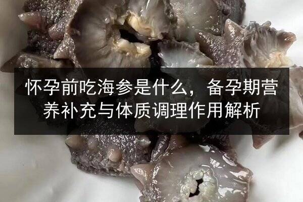 怀孕前吃海参是什么，备孕期营养补充与体质调理作用解析