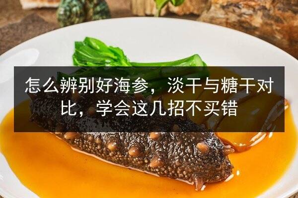 怎么辨别好海参，淡干与糖干对比，学会这几招不买错