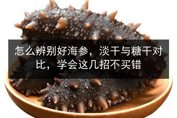 怎么辨别好海参，淡干与糖干对比，学会这几招不买错