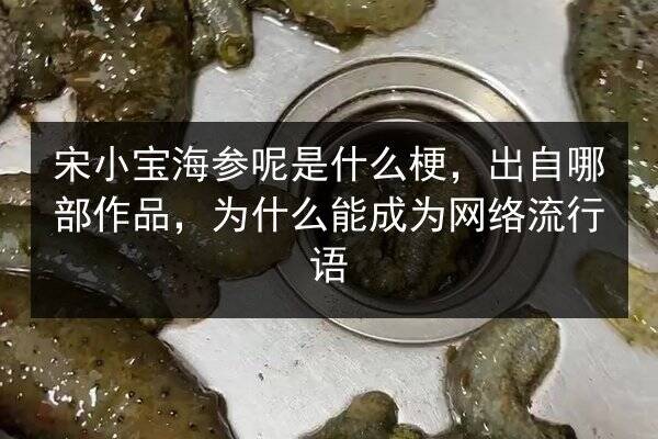 宋小宝海参呢是什么梗,出自哪部作品,为什么能成为网络流行语