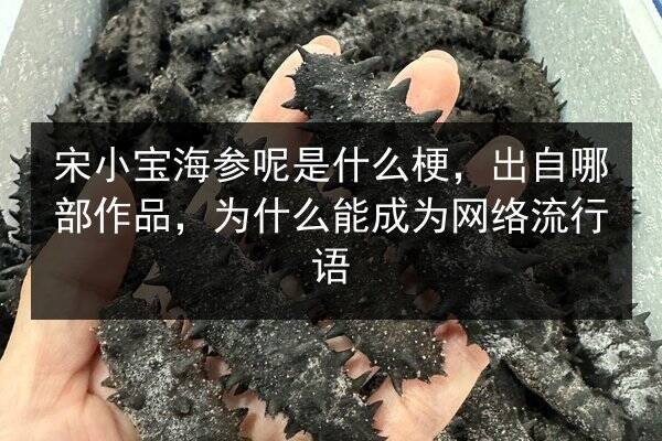 宋小宝海参呢是什么梗,出自哪部作品,为什么能成为网络流行语