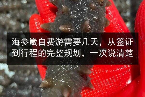海参崴自费游需要几天，从签证到行程的完整规划，一次说清楚