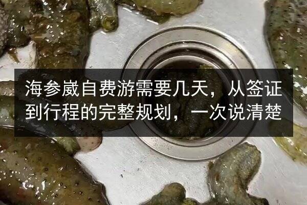 海参崴自费游需要几天，从签证到行程的完整规划，一次说清楚