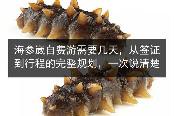 海参崴自费游需要几天，从签证到行程的完整规划，一次说清楚