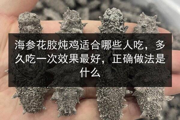 海参花胶炖鸡适合哪些人吃,多久吃一次效果最好,正确做法是什么