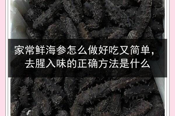 家常鲜海参怎么做好吃又简单，去腥入味的正确方法是什么