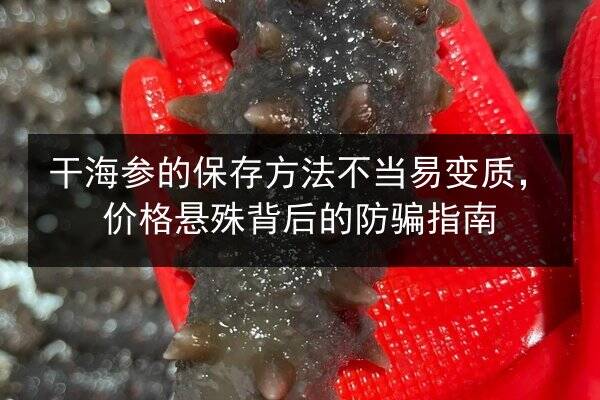 干海参的保存方法不当易变质，价格悬殊背后的防骗指南