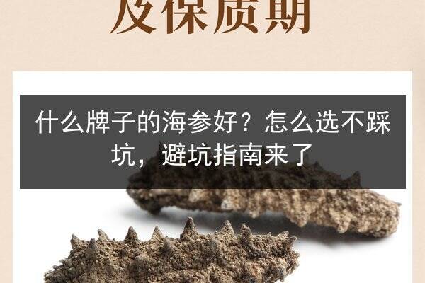 什么牌子的海参好?怎么选不踩坑,避坑指南来了
