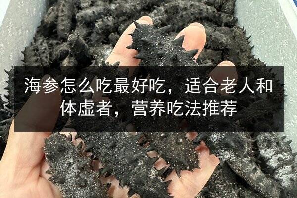 海参怎么吃最好吃,适合老人和体虚者,营养吃法推荐