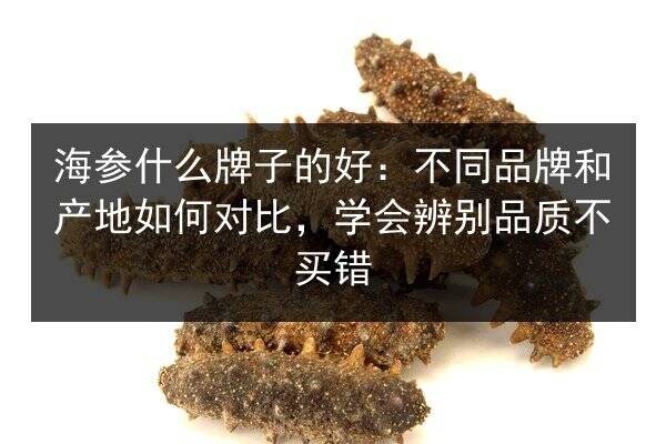 海参什么牌子的好:不同品牌和产地如何对比,学会辨别品质不买错