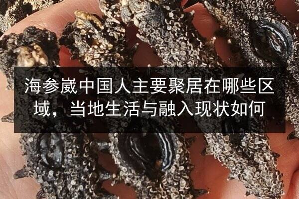 海参崴中国人主要聚居在哪些区域,当地生活与融入现状如何