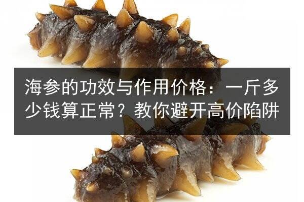 海参的功效与作用价格:一斤多少钱算正常?教你避开高价陷阱