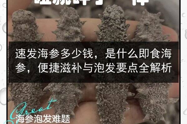 速发海参多少钱,是什么即食海参,便捷滋补与泡发要点全解析