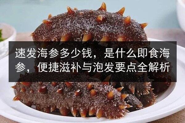 速发海参多少钱,是什么即食海参,便捷滋补与泡发要点全解析