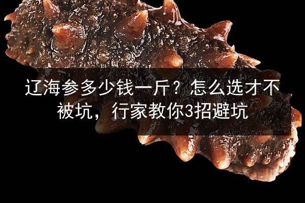 辽海参多少钱一斤?怎么选才不被坑,行家教你3招避坑