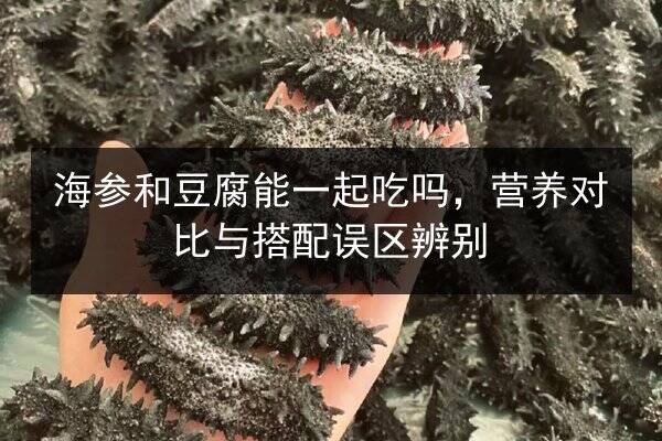 海参和豆腐能一起吃吗,营养对比与搭配误区辨别