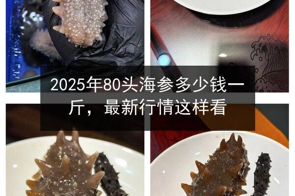 2025年80头海参多少钱一斤，最新行情这样看